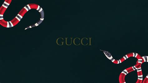 gucci snake 4k|Gucci snake wallpaper desktop.